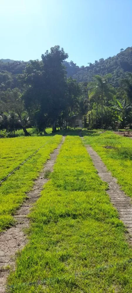 Sítio, 2 quartos, 2 hectares - Foto 11