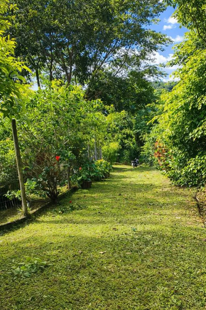 Sítio, 3 quartos, 2 hectares - Foto 17