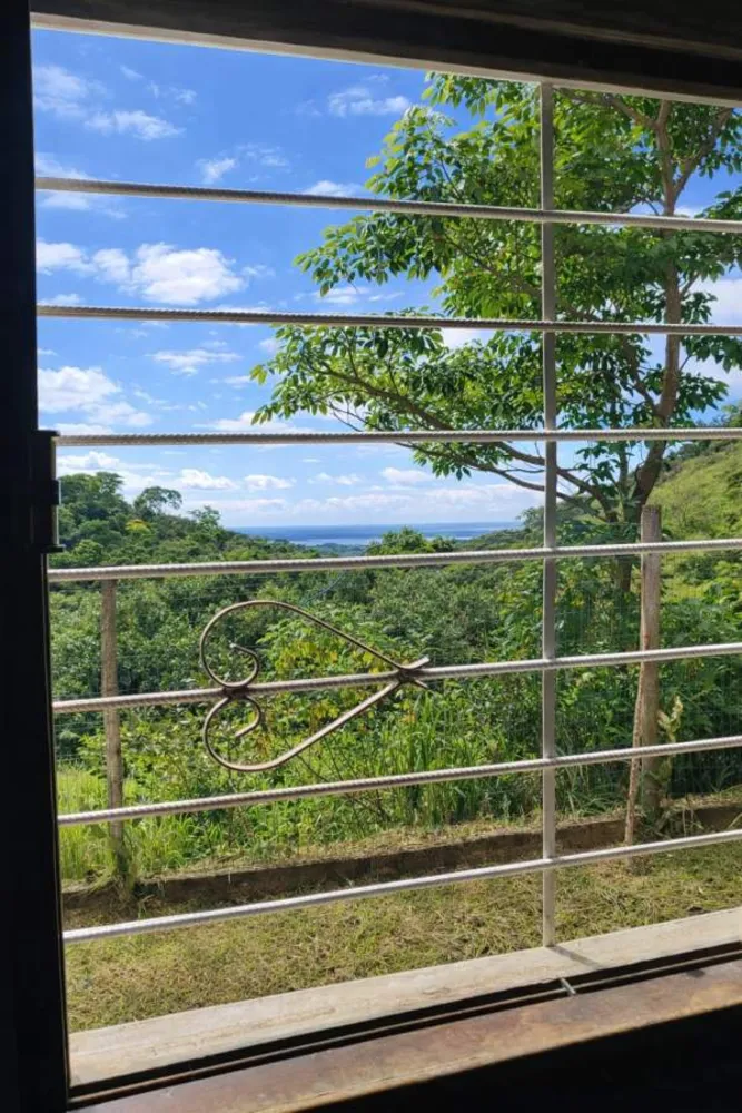 Sítio, 3 quartos, 2 hectares - Foto 8
