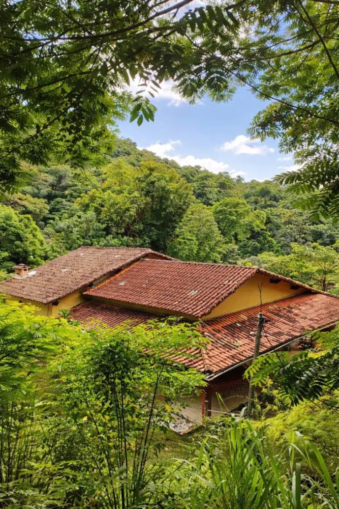 Sítio, 3 quartos, 2 hectares - Foto 6