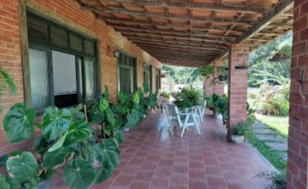 Sítio, 3 quartos, 8000 m² - Foto 3