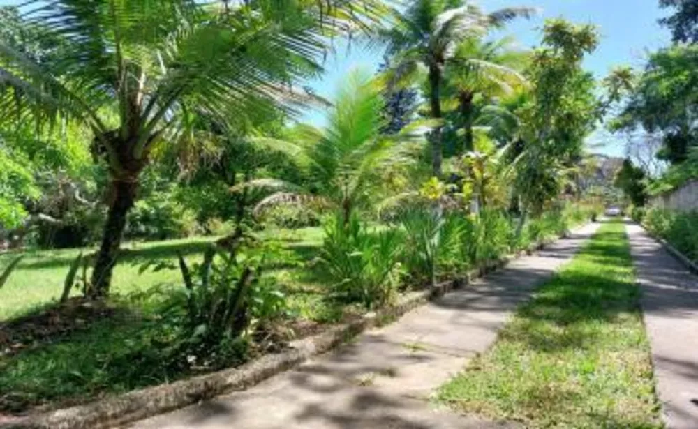 Sítio, 3 quartos, 8000 m² - Foto 22