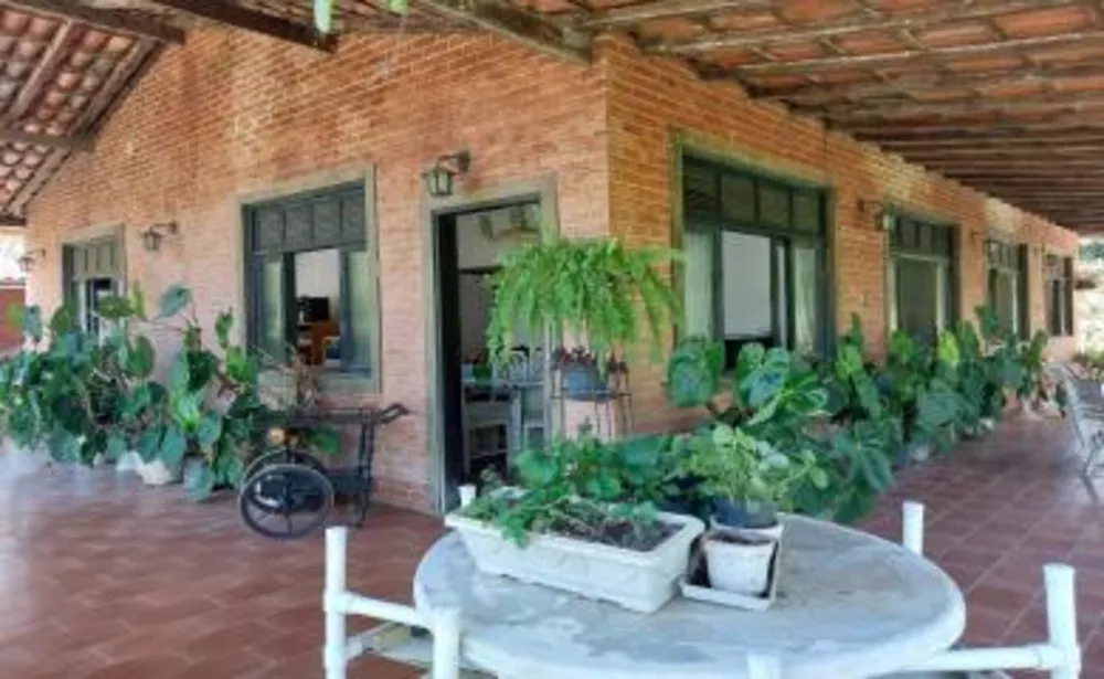 Sítio, 3 quartos, 8000 m² - Foto 4