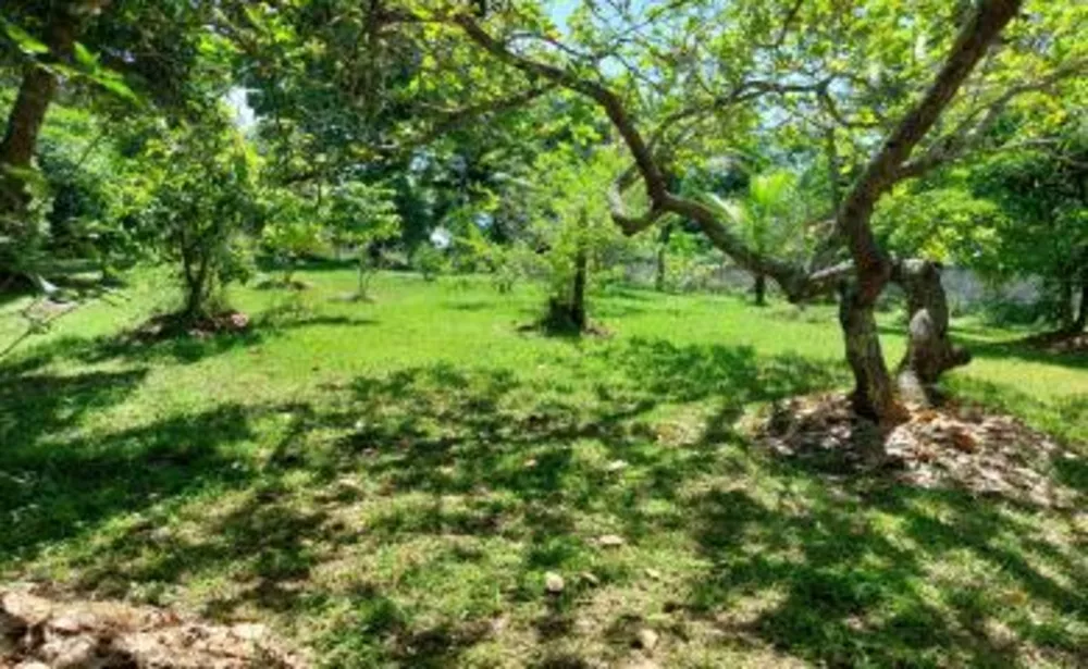 Sítio, 3 quartos, 8000 m² - Foto 19