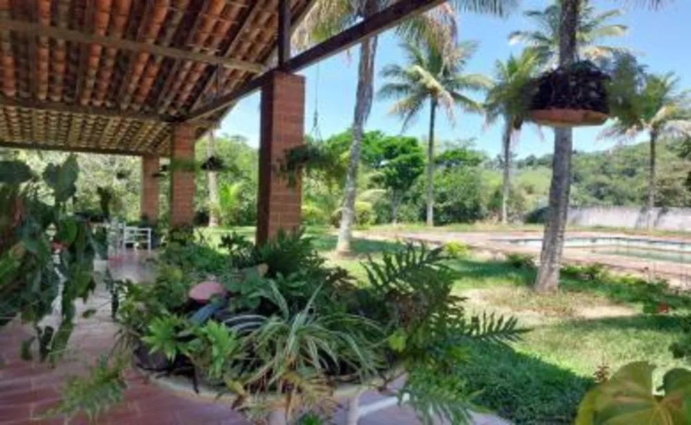 Sítio, 3 quartos, 8000 m² - Foto 7