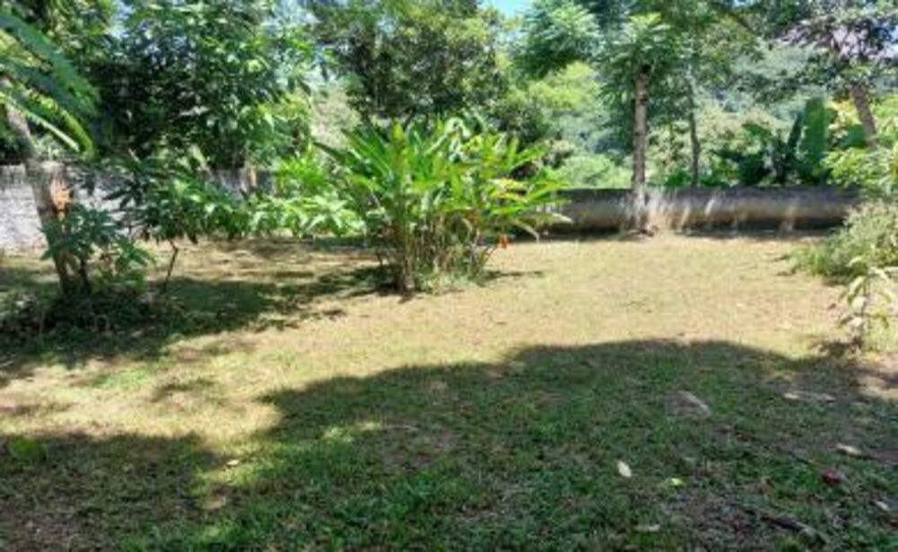 Sítio, 3 quartos, 8000 m² - Foto 18