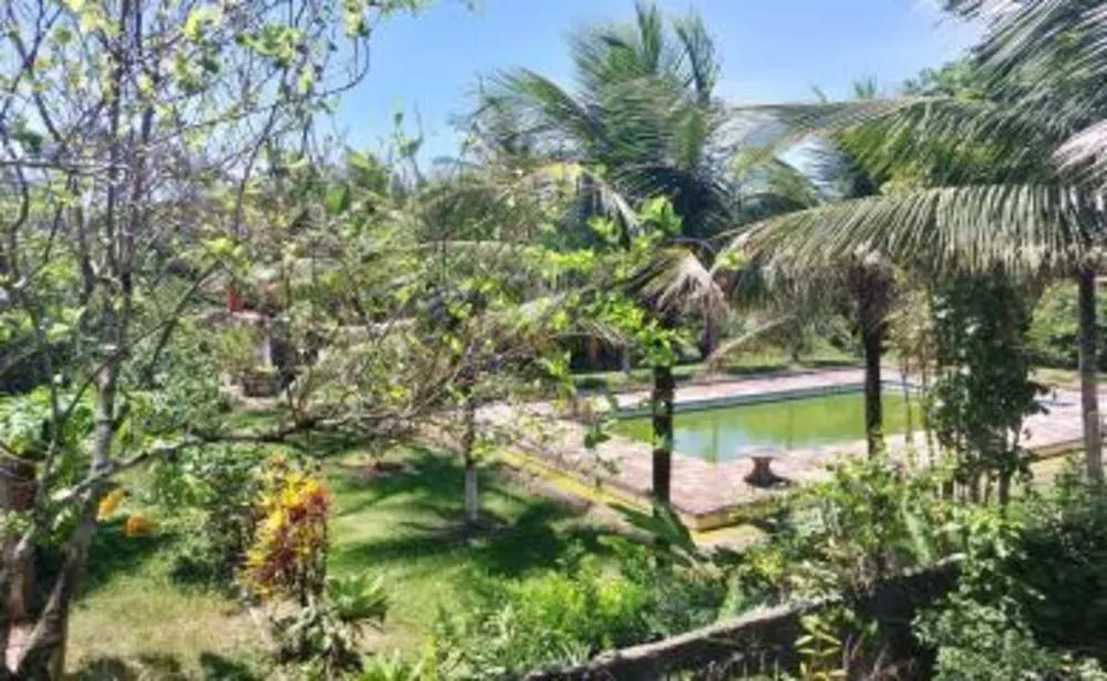 Sítio, 3 quartos, 8000 m² - Foto 16