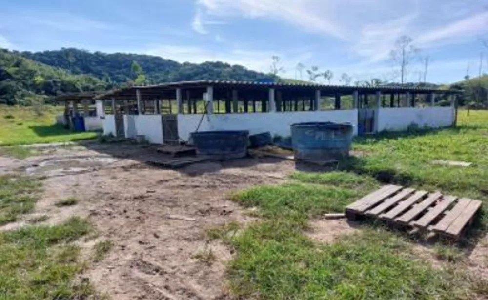 Sítio, 3 quartos, 10 hectares - Foto 10