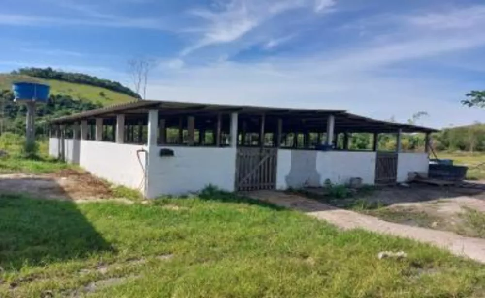 Sítio, 3 quartos, 10 hectares - Foto 11