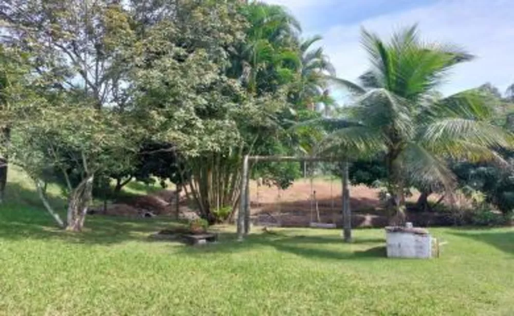 Sítio, 3 quartos, 10 hectares - Foto 3