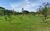 Sítio, 3 quartos, 10 hectares - Foto 3