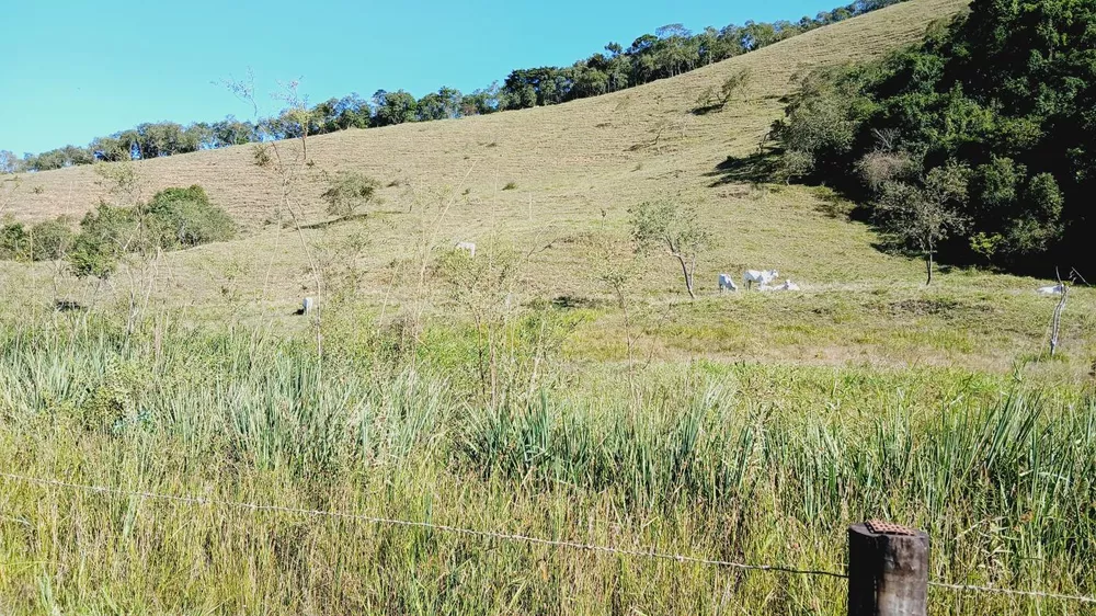 Fazenda, 203 m² - Foto 29