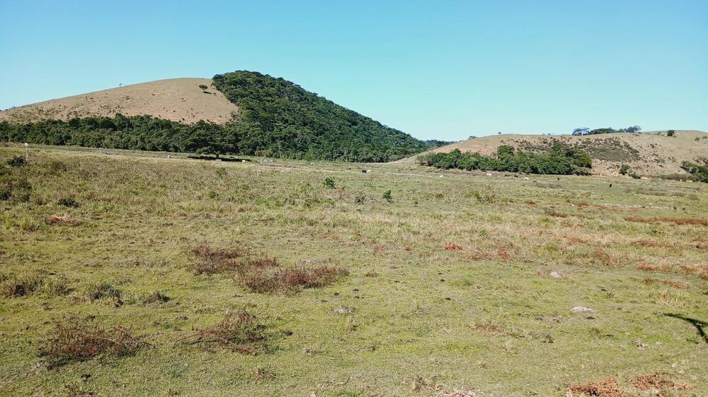 Fazenda, 203 m² - Foto 27