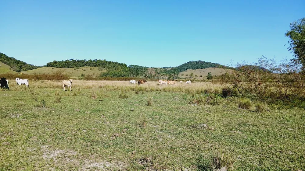 Fazenda, 203 m² - Foto 19