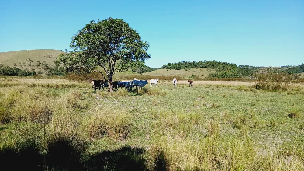 Fazenda, 203 m² - Foto 24