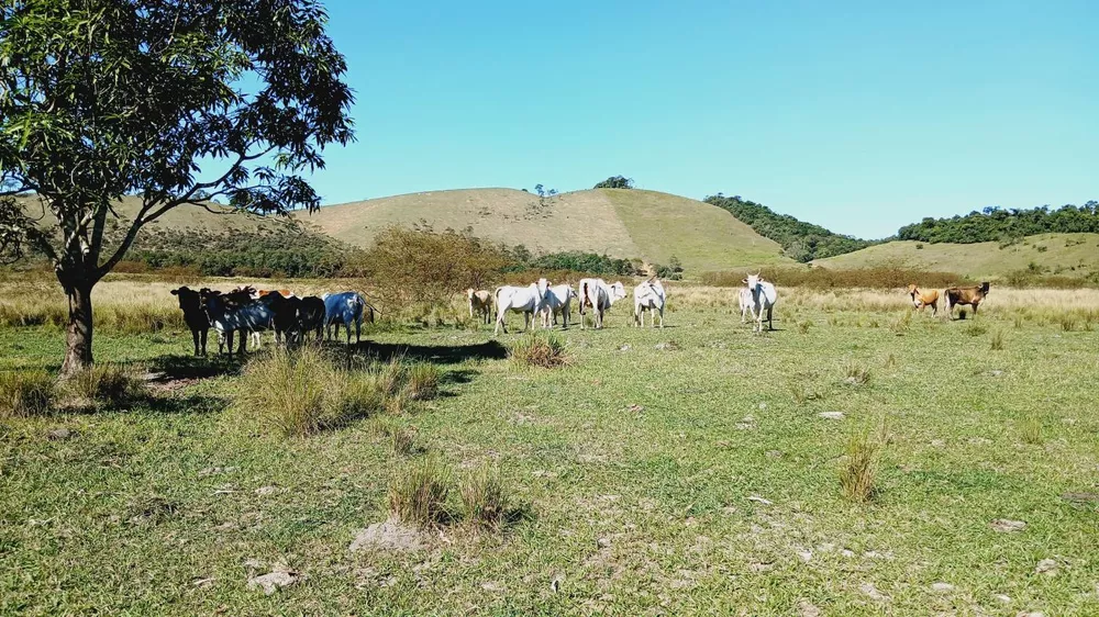 Fazenda, 203 m² - Foto 17