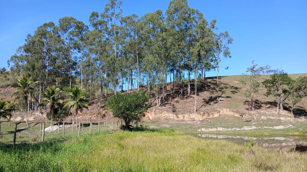 Fazenda, 203 m² - Foto 22