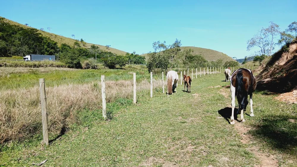 Fazenda, 203 m² - Foto 10