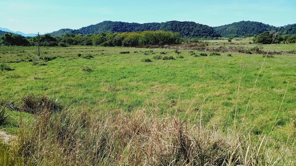 Fazenda, 203 m² - Foto 13