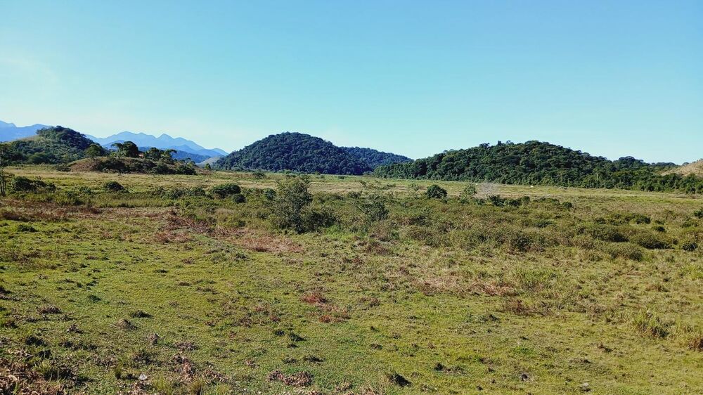 Fazenda, 203 m² - Foto 26