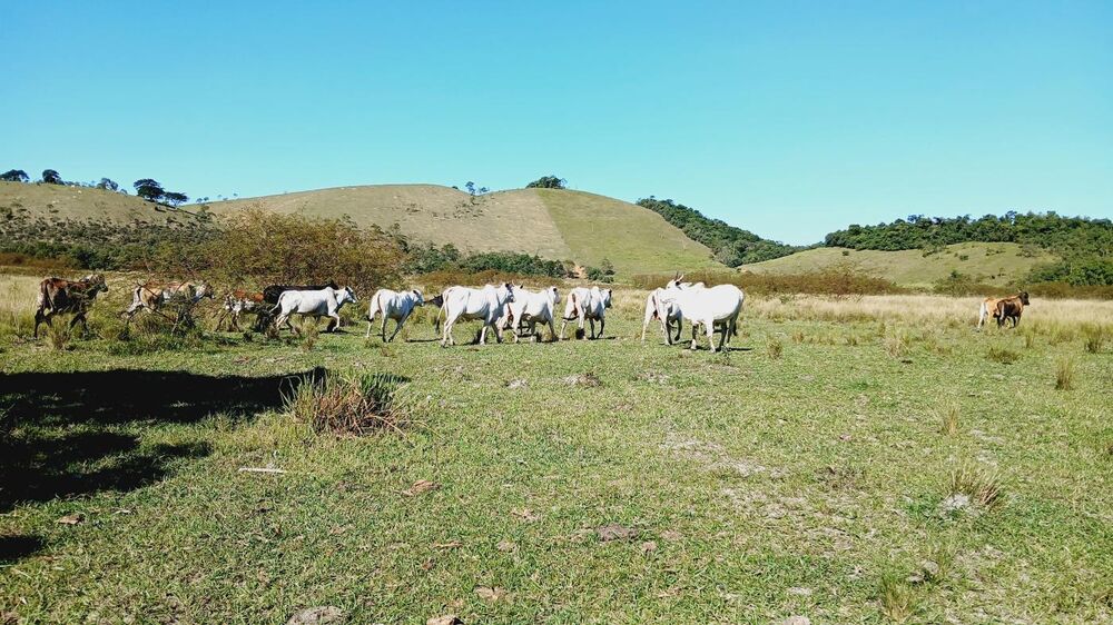 Fazenda, 203 m² - Foto 1