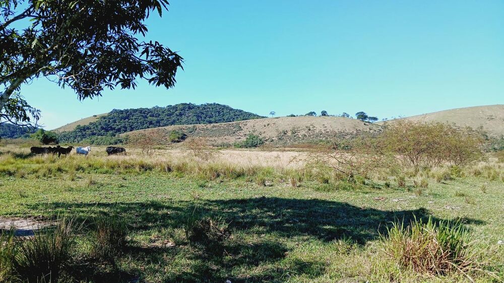 Fazenda, 203 m² - Foto 18