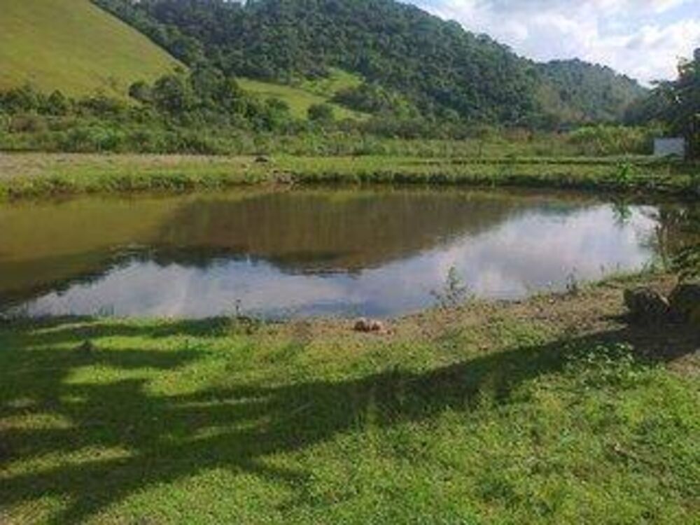 Sítio à venda com 3 quartos, 33000m² - Foto 13