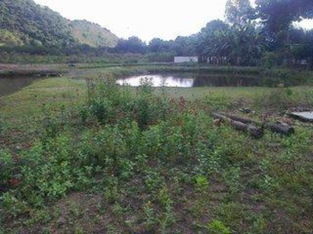 Sítio à venda com 3 quartos, 33000m² - Foto 25
