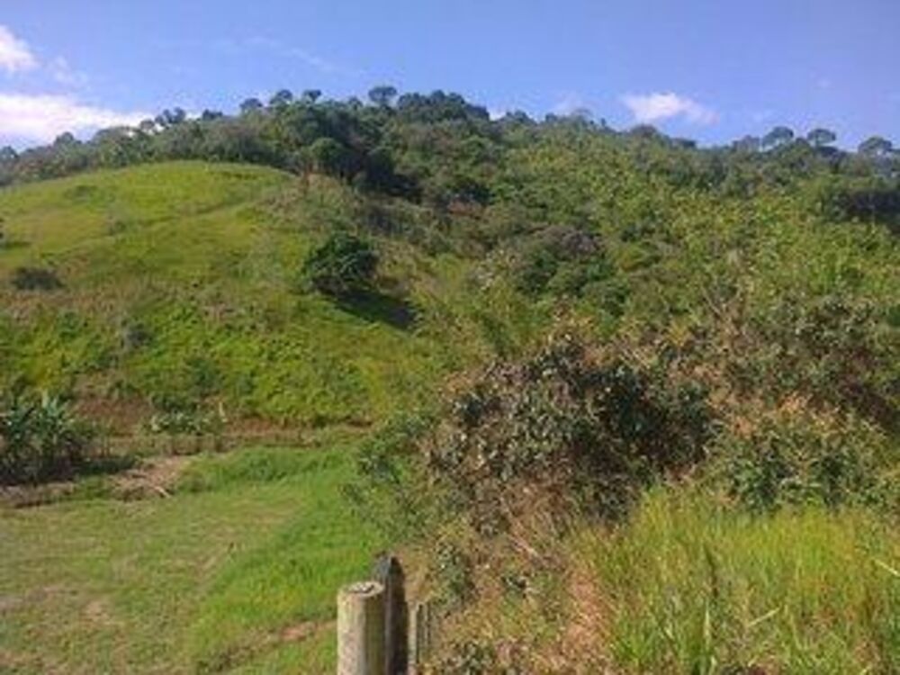 Sítio à venda com 3 quartos, 33000m² - Foto 4