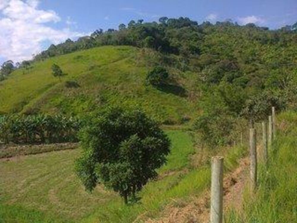 Sítio à venda com 3 quartos, 33000m² - Foto 14