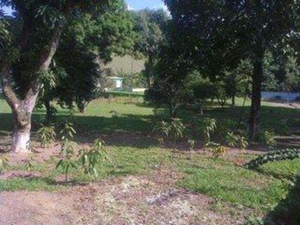 Sítio à venda com 3 quartos, 33000m² - Foto 24