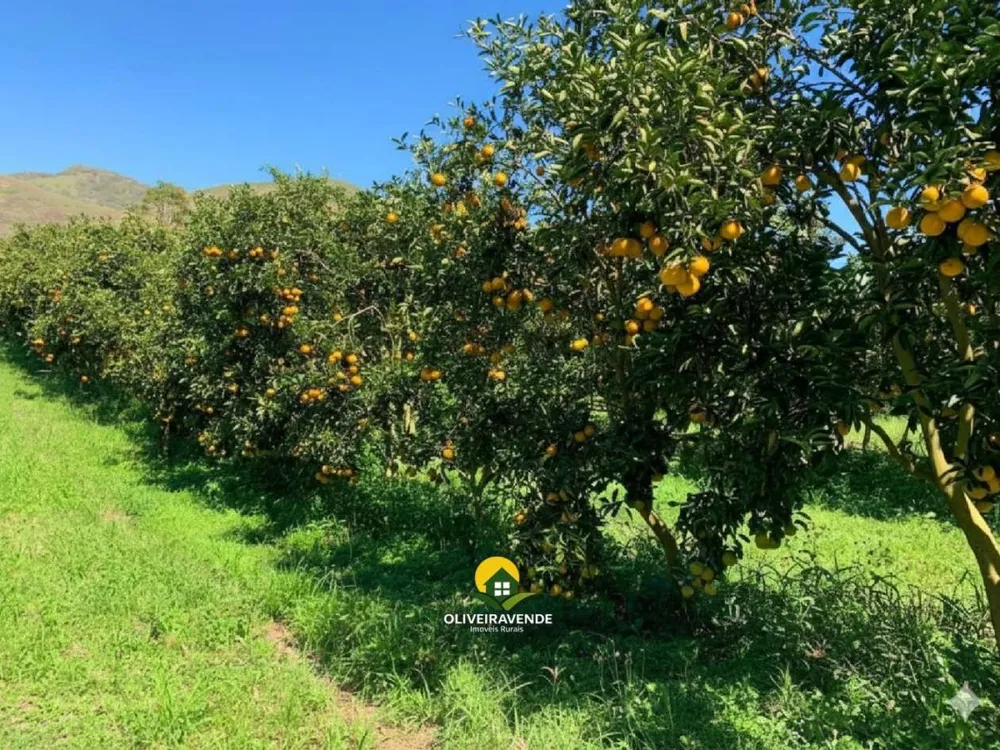 Fazenda, 29 m² - Foto 25