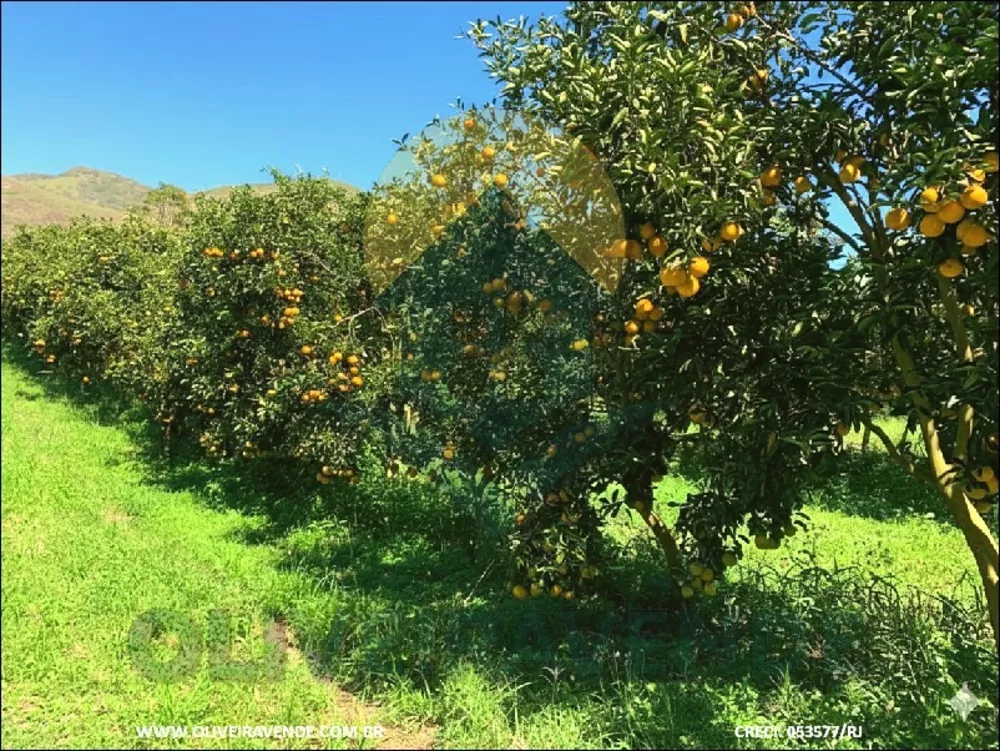 Fazenda-Sítio-Chácara, 29 m² - Foto 2