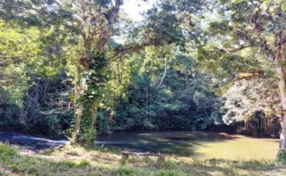 Sítio, 3 quartos, 16 hectares - Foto 10