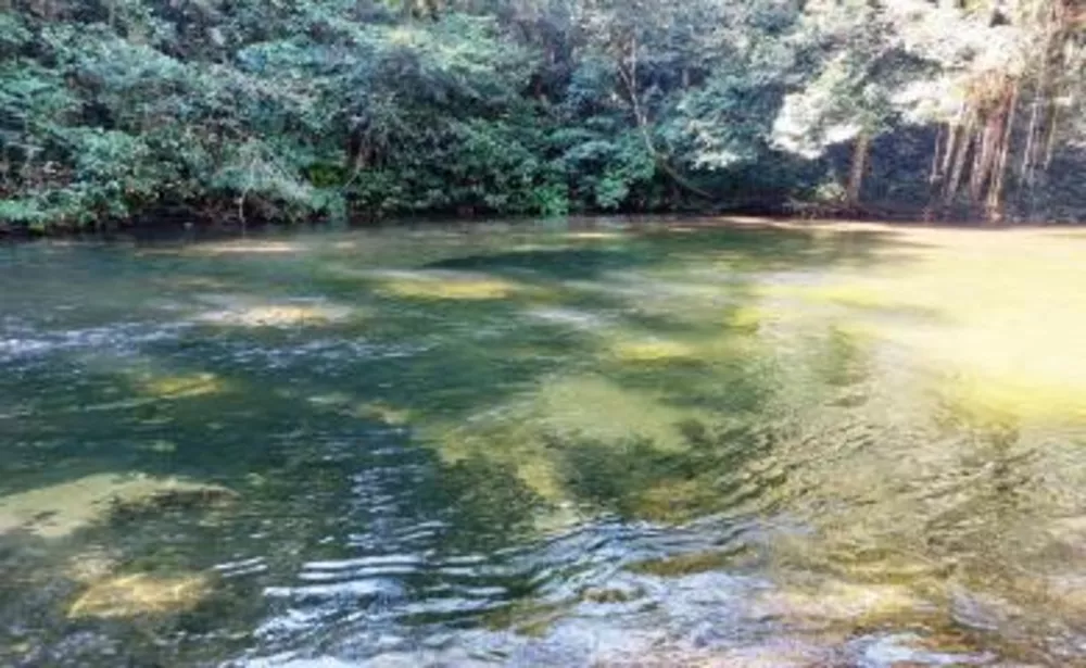 Sítio, 3 quartos, 16 hectares - Foto 12