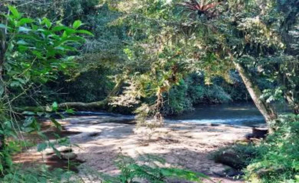 Sítio, 3 quartos, 16 hectares - Foto 8