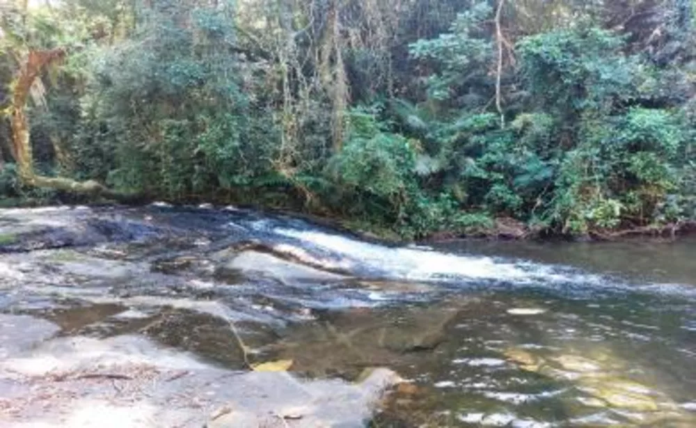 Sítio, 3 quartos, 16 hectares - Foto 13