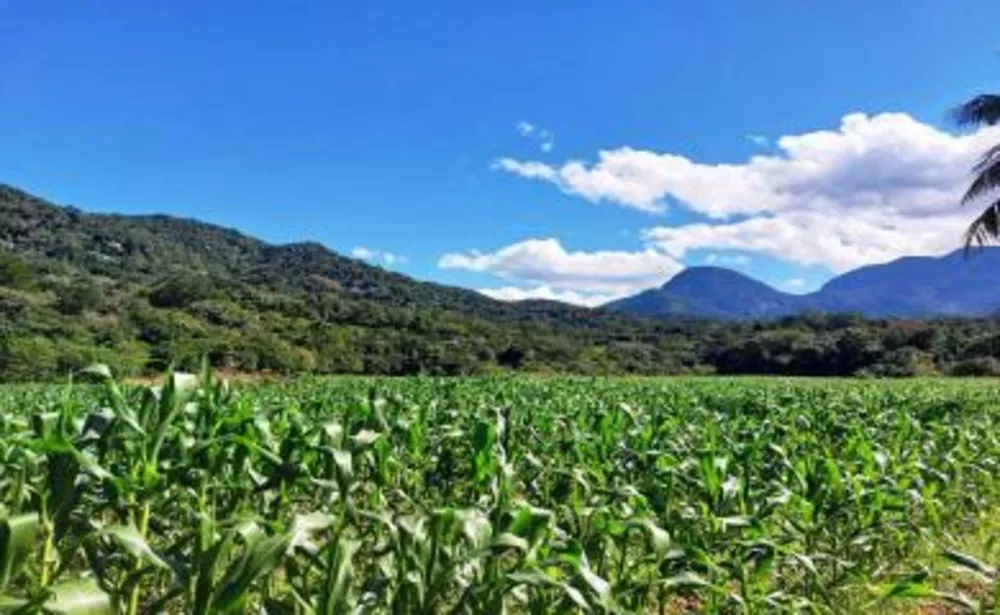 Sítio, 3 quartos, 16 hectares - Foto 19