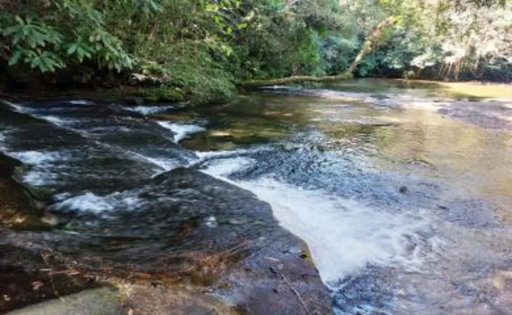 Sítio, 3 quartos, 16 hectares - Foto 9