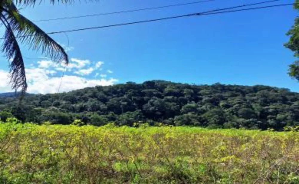 Sítio, 3 quartos, 16 hectares - Foto 15