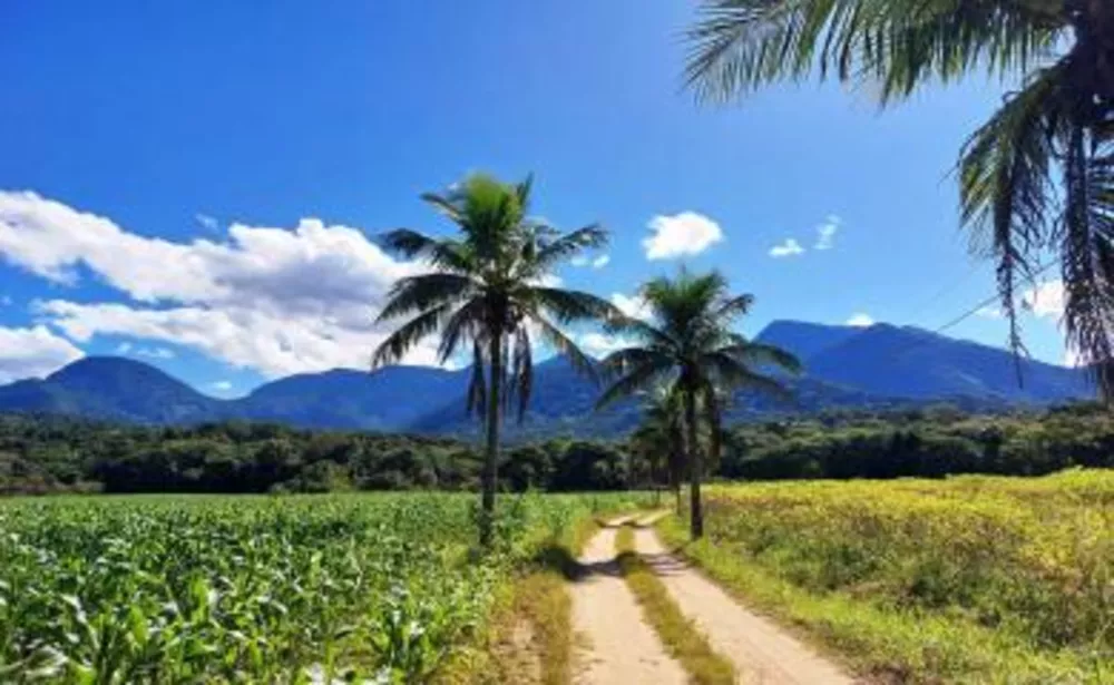 Sítio, 3 quartos, 16 hectares - Foto 16