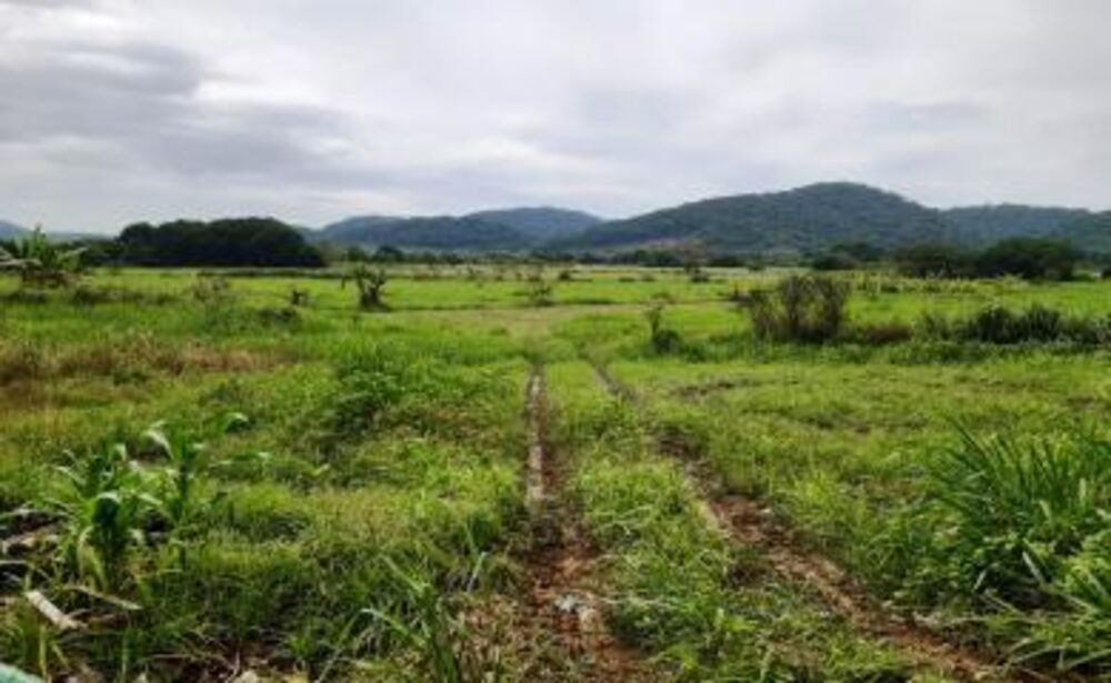 Sítio à venda com 2 quartos, 200000m² - Foto 1