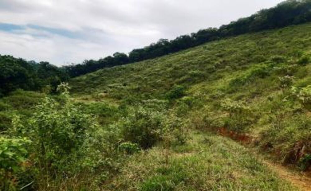 Sítio à venda com 2 quartos, 200000m² - Foto 8