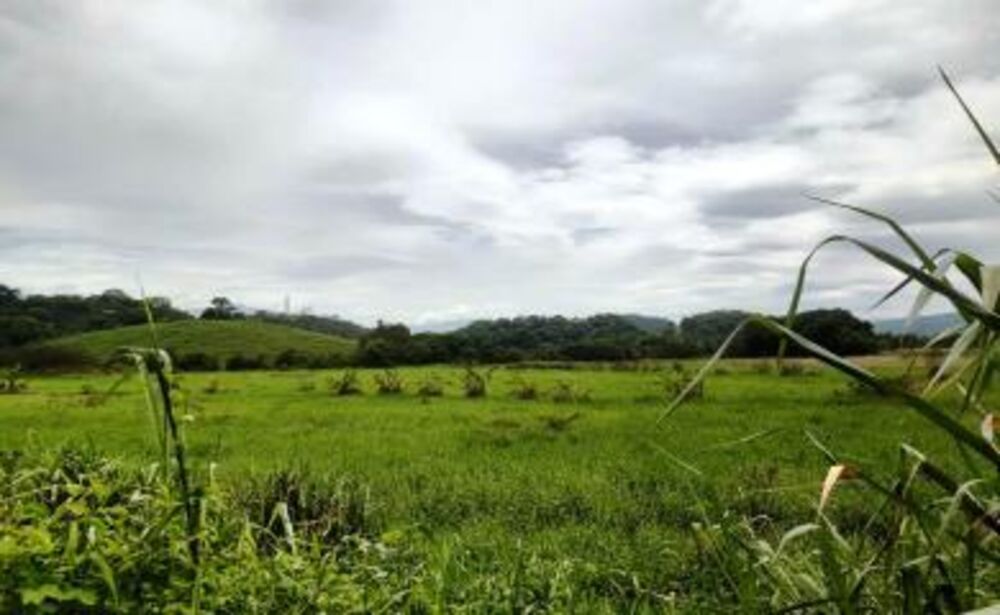 Sítio à venda com 2 quartos, 200000m² - Foto 7