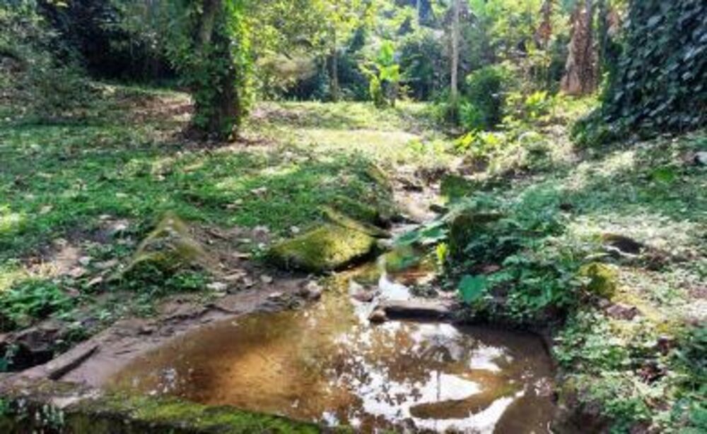 Sítio à venda com 5 quartos, 6000m² - Foto 4