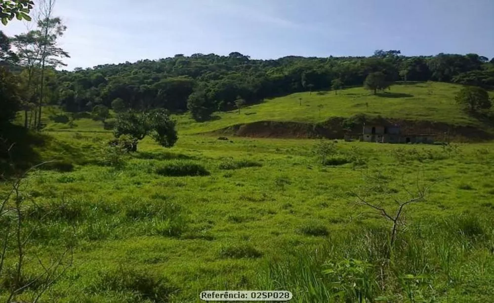 Sítio, 2 quartos, 24 hectares - Foto 14