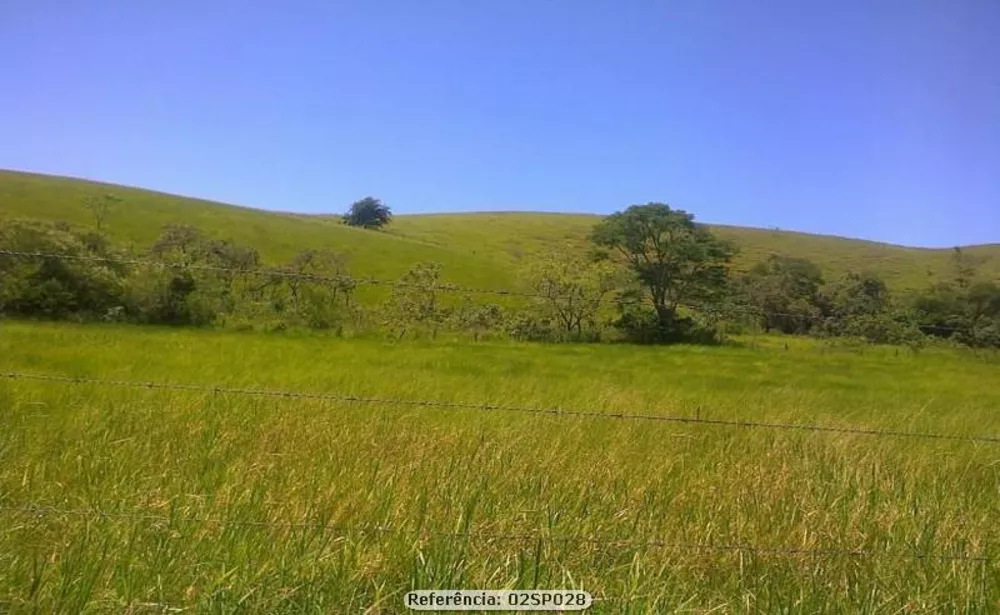 Sítio, 2 quartos, 24 hectares - Foto 18