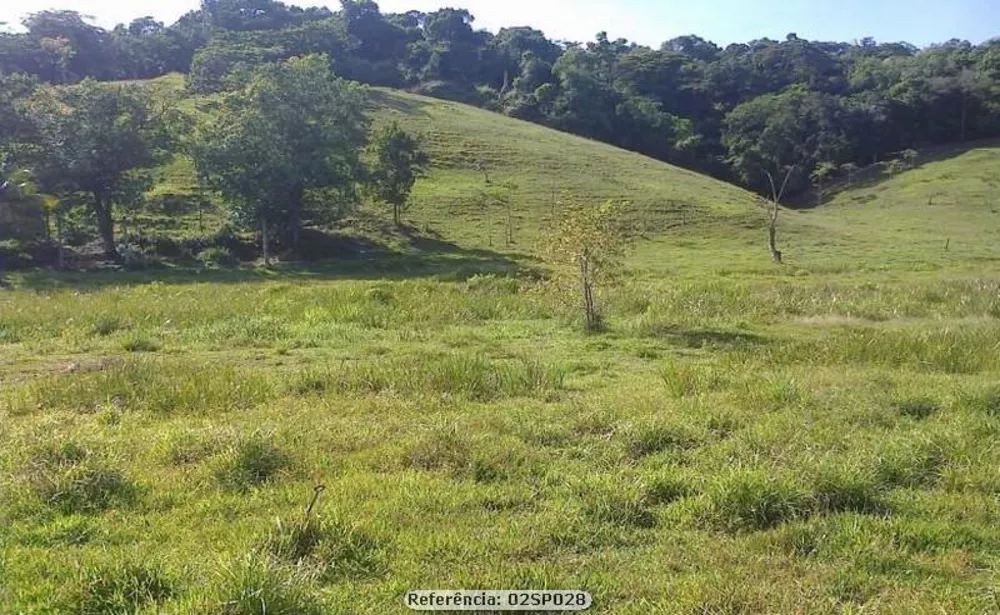 Sítio, 2 quartos, 24 hectares - Foto 13