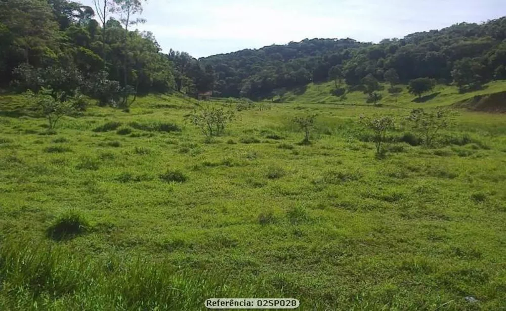 Sítio, 2 quartos, 24 hectares - Foto 12