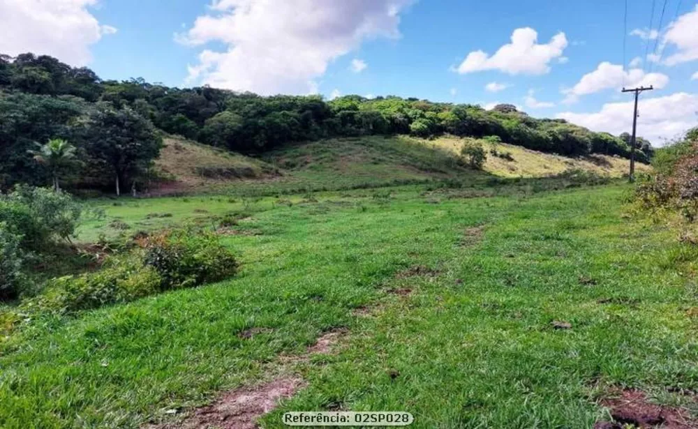 Sítio, 2 quartos, 24 hectares - Foto 16